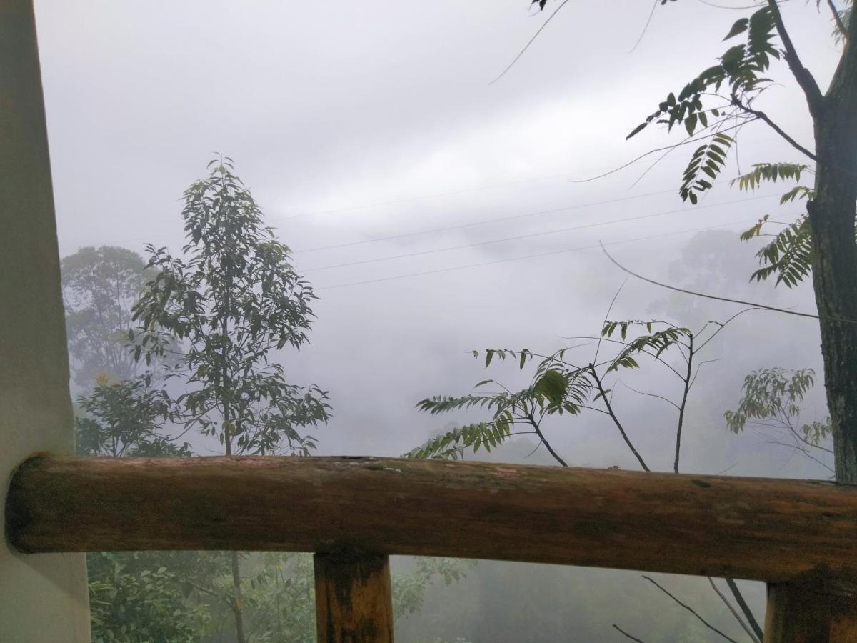 Nature Casa Bella Pokój zdjęcie