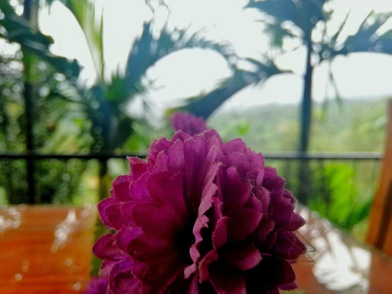 Nature Casa Bella Zewnętrze zdjęcie